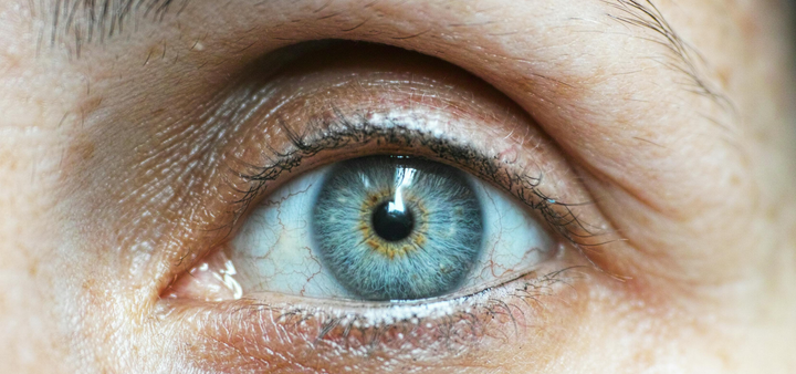 Eye Comfort Omega