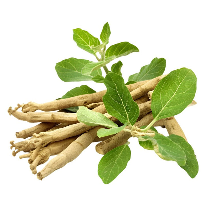 Ashwagandha Pulver