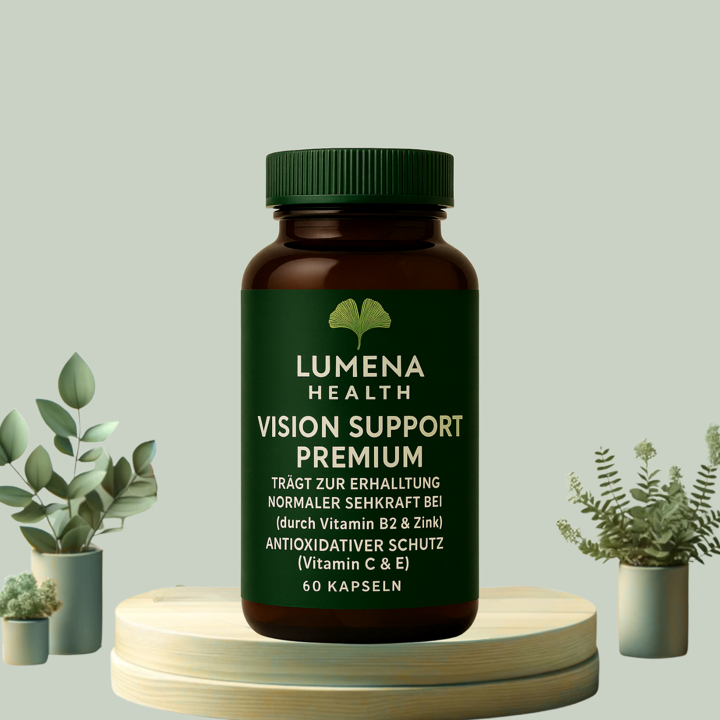 Vision Support
