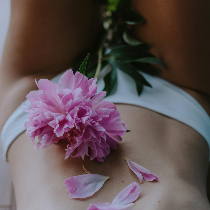 Probiotika & Darmgesundheit: Warum ein starkes Mikrobiom besonders für Frauen wichtig ist
