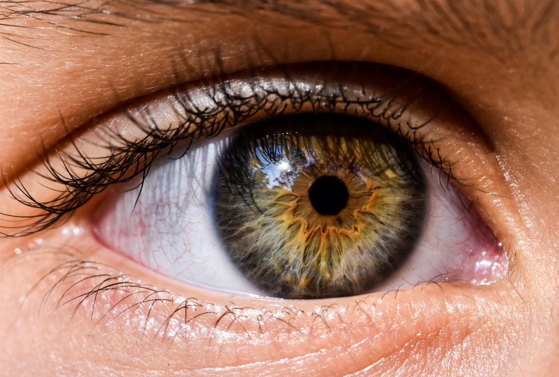 Vision Support