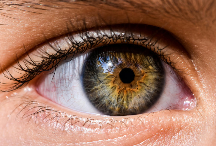 Vision Support
