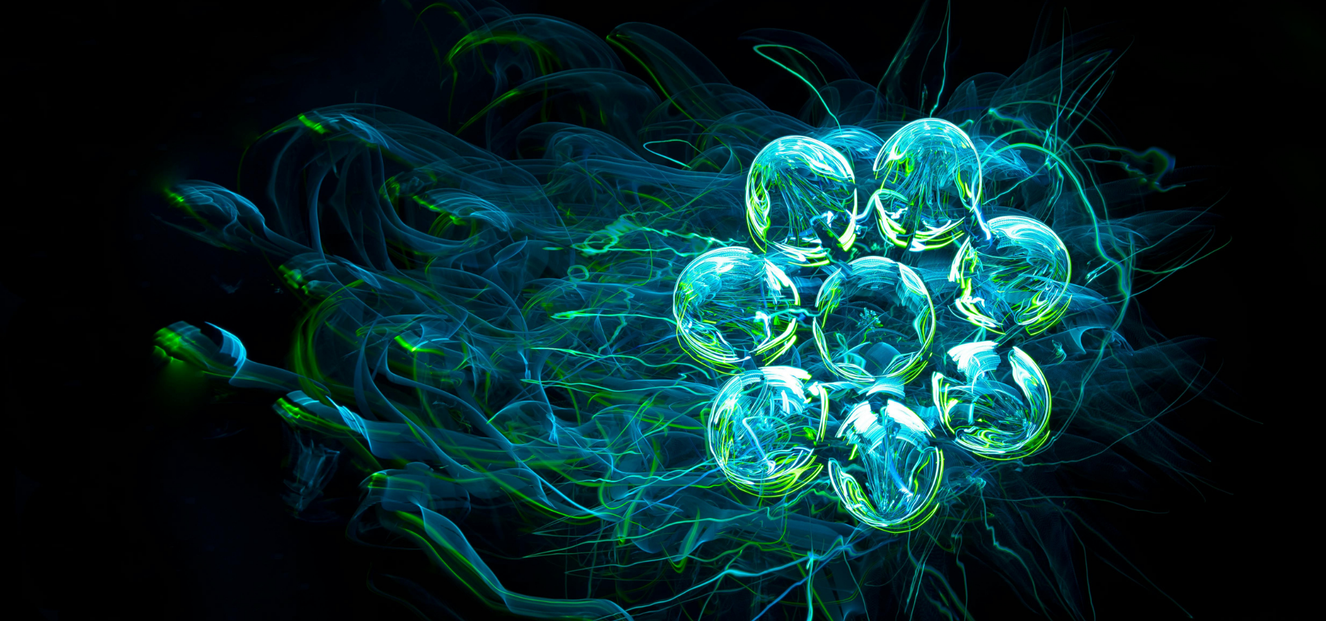 Immunsystem & Energie