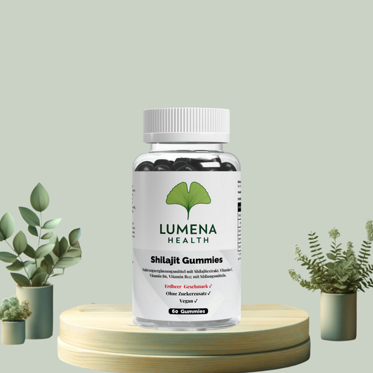 Shilajit Gummies + Vitamin C, B6, B12 – 60 Stk.